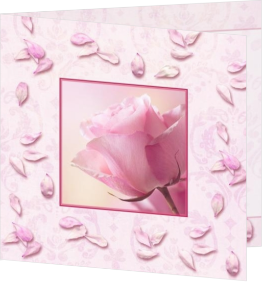 Trouwkaart roze roos, vk